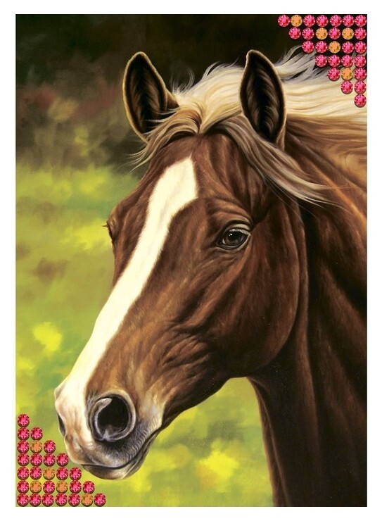 Алмазная вышивка с частичным заполнением «Лошадь», 15 х 21 см. набор для творчества  Школа талантов