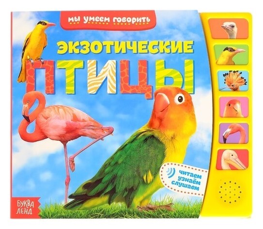 Книга с музыкальным чипом «Экзотические птицы», 12 стр. Буква-ленд