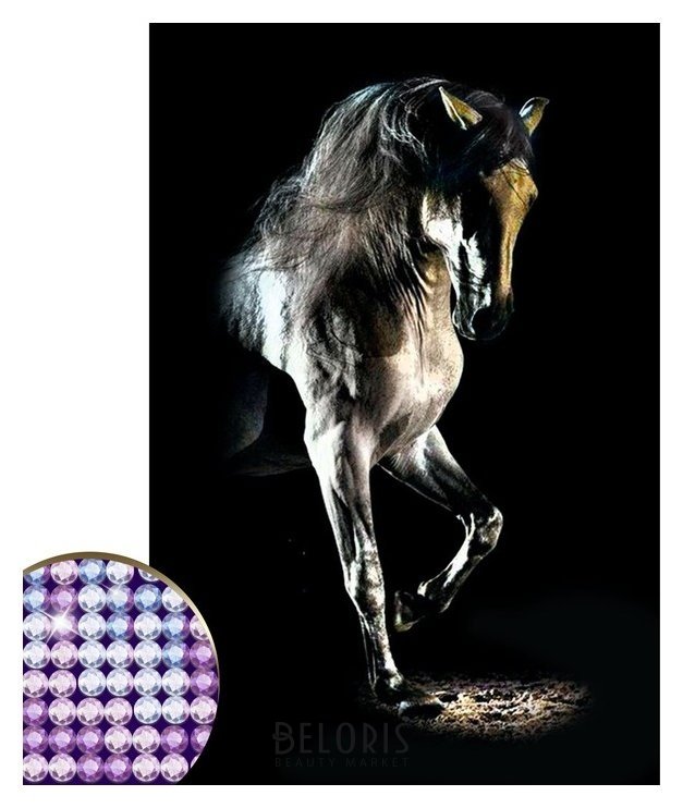 Алмазная вышивка с частичным заполнением «Грациозная лошадь» 20 х 30 см на холсте Школа талантов
