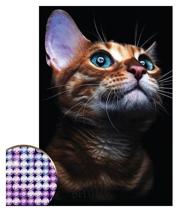 Алмазная вышивка с частичным заполнением «Взгляд кошки» 20 х 30 см на холсте Школа талантов