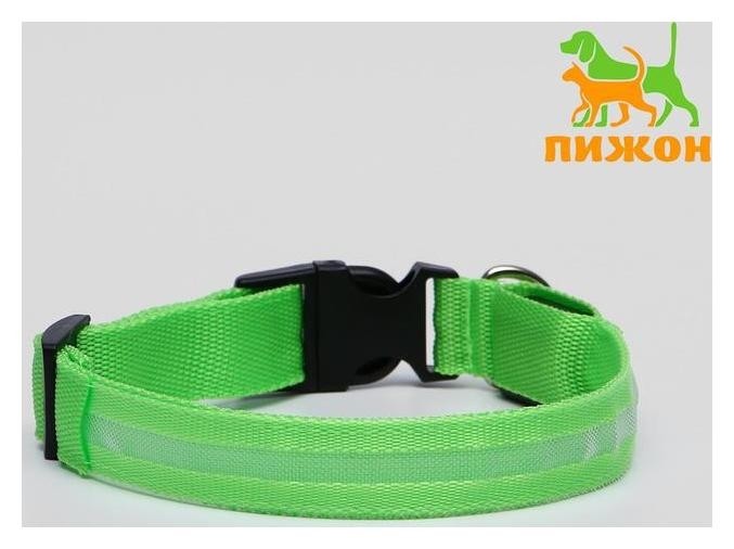 

Ошейник с подсветкой, L, , 3 режима свечения, зеленый, Зелёный