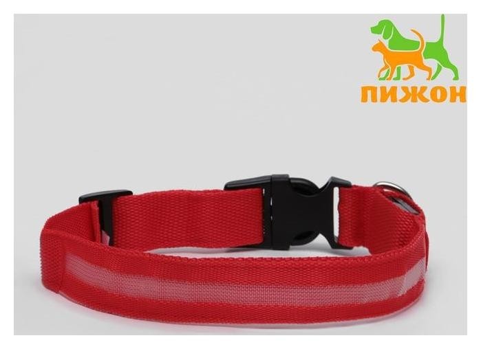 

Ошейник с подсветкой, XL, , 3 режима свечения, красный