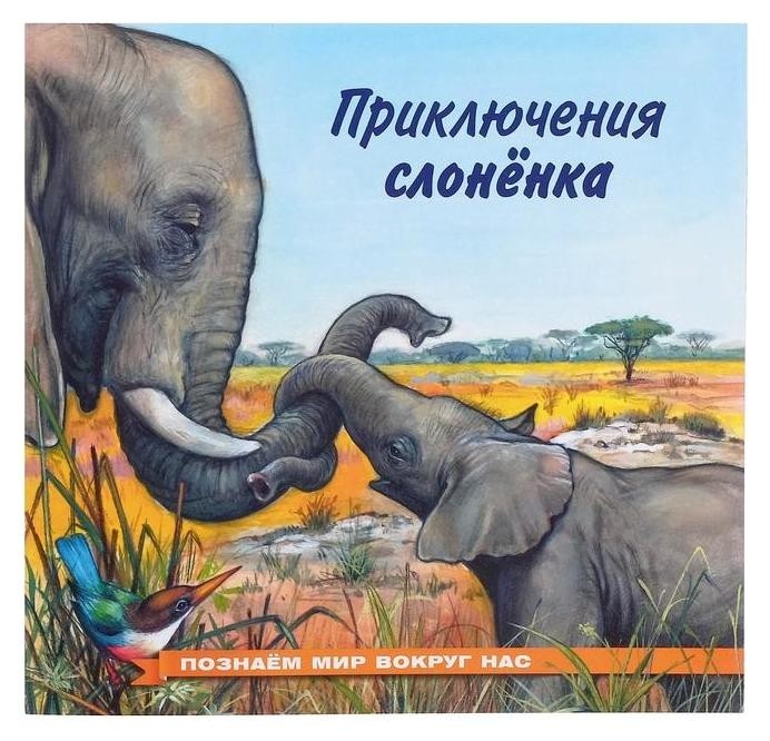 

Познаём мир вокруг нас «Приключения слонёнка»