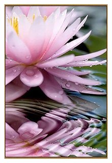Алмазная мозаика "Священный цветок", 28 цветов Milato