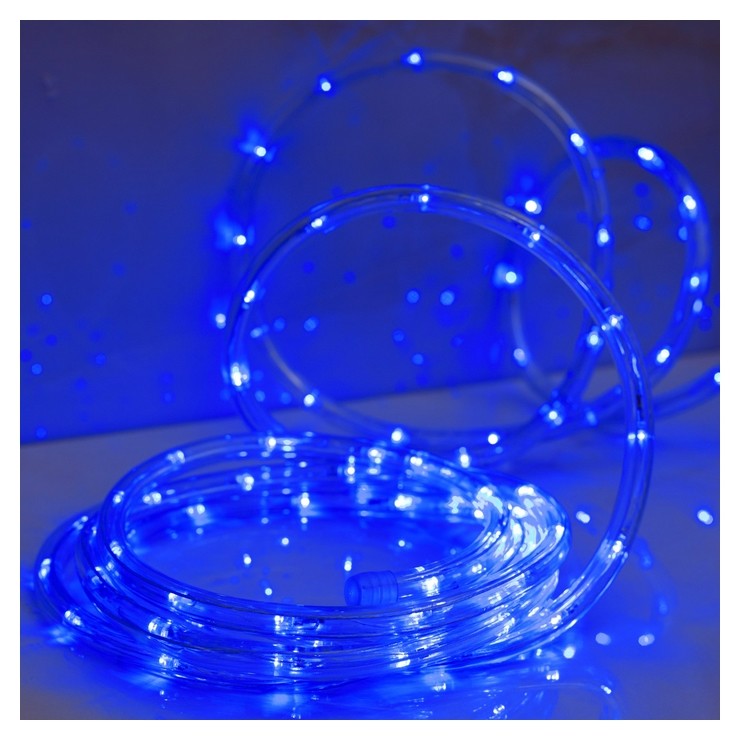 LED шнур 10 мм, круглый, 5 м, чейзинг, 2w-led/м-24-220v, с контр. 8р, синий