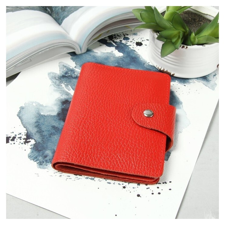 Обложка для автодокументов и паспорта, доллар, цвет алый Cayman