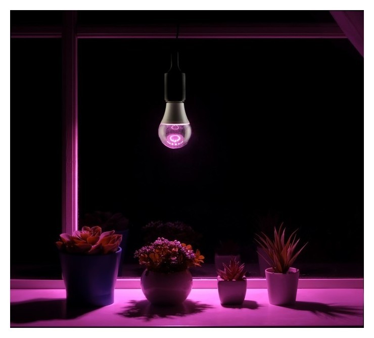 Светодиодная лампа для растений ( фитолампа ) Luazon 12 Вт, E27, 220в
