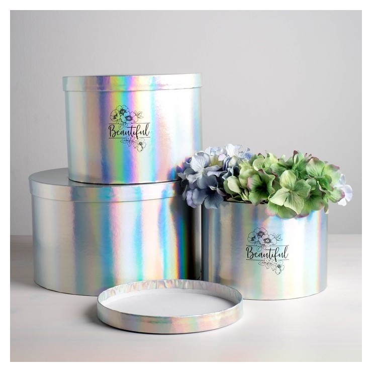 

Набор шляпных коробок для цветов 3 в 1 с голографией «Ты прекрасна», 18 × 13 см - 25 × 15 см, Разноцветный