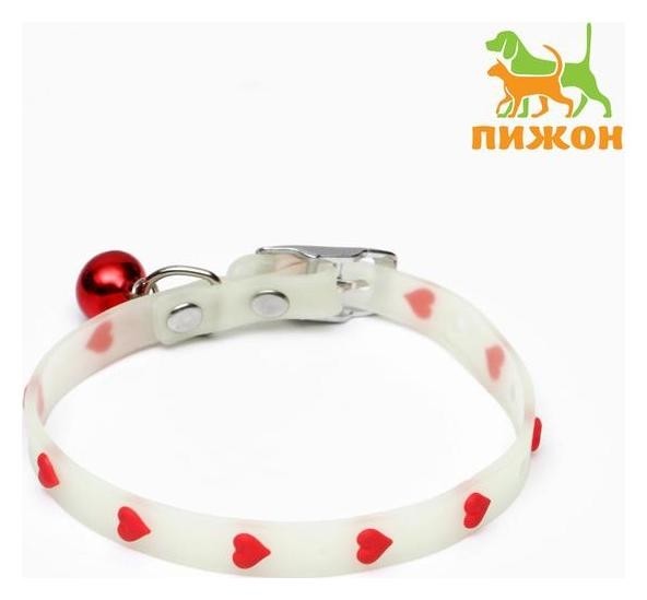 

Ошейник, светящийся в темноте "Любовь" (Люминесцентный пластик), Микс