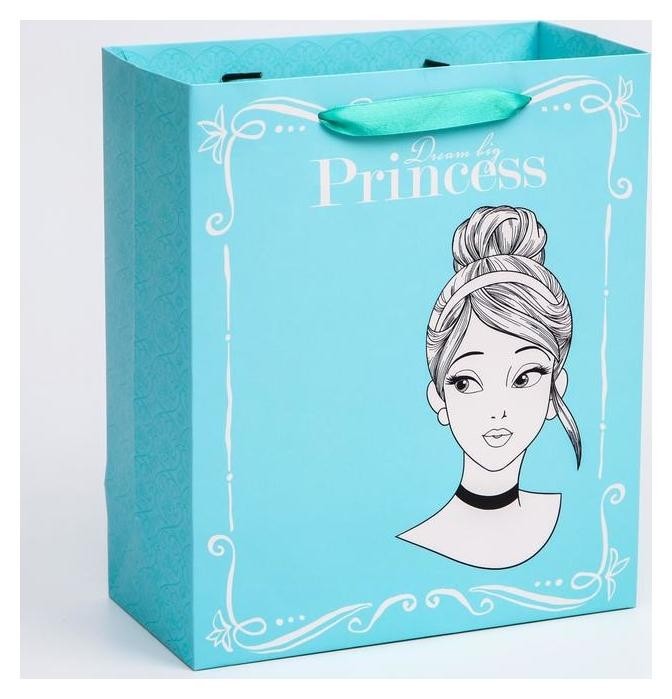 

Пакет ламинат вертикальный для девочки Princess 23х27х11,5 см Цвет голубой, Бирюзовый