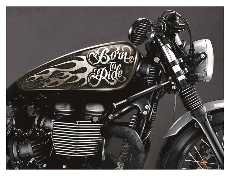Набор наклеек на мотоцикл Born To Ride, 2 шт