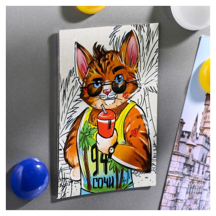 Магнит двусторонний «Сочи. крутой кот» отзывы