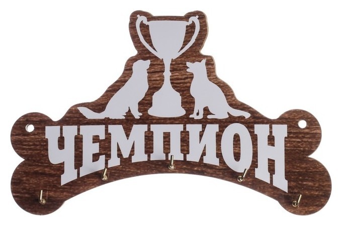 

Медальница «Чемпион» с крючками, 20 х 12,9 см, Коричневый