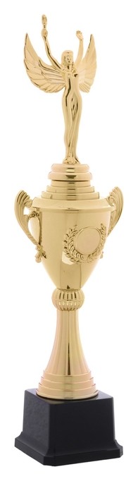 

Кубок ника 175, Золотистый