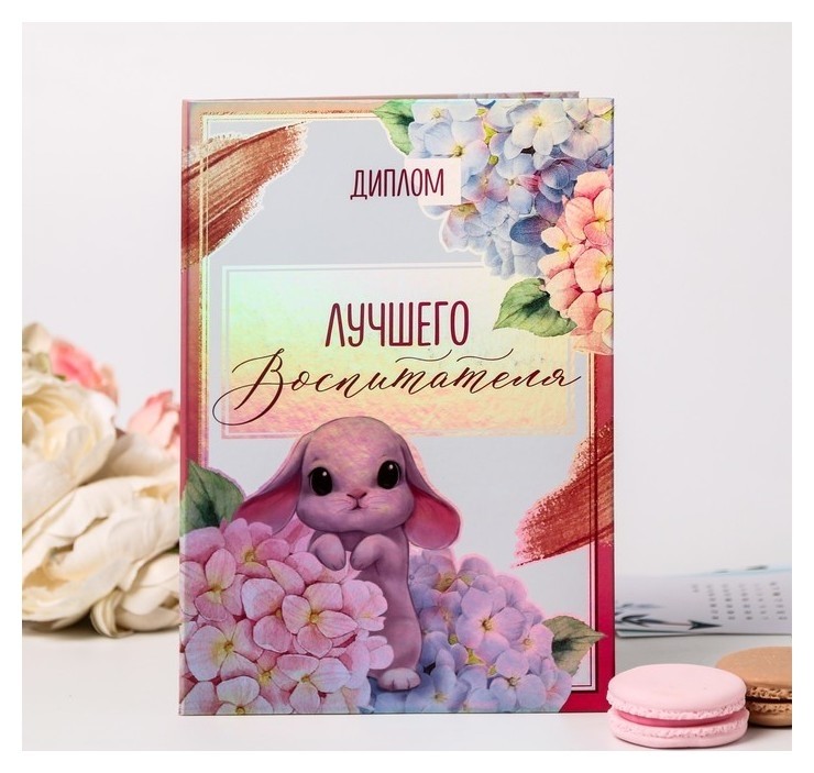 

Диплом "Лучшего воспитателя", 22 х 15 см