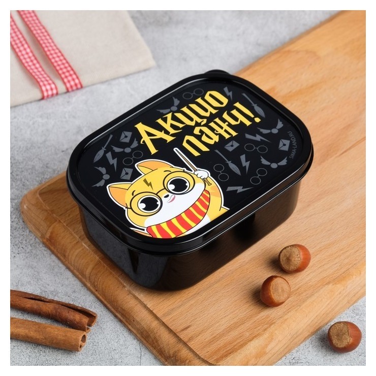 

Ланч-бокс «Акцио ланч», 0.5 л, Чёрный