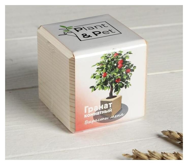 Набор для выращивания P&P "Гранат комнатный"  