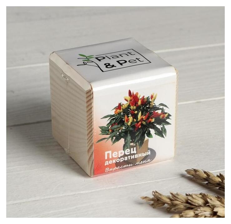 Набор для выращивания P&P "Перчик декоративный" 
