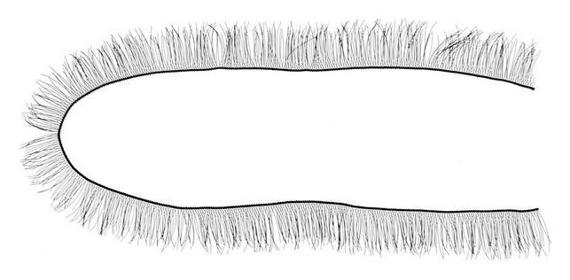 Реснички, набор 2 шт., размер 1 шт. 20 × 1 см, цвет чёрный
