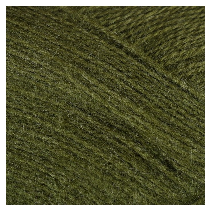 

Пряжа "Mohair Delicate" 5% мохер,10%шерсть,85% акрил 500м/100гр (6126 т. зелёный)