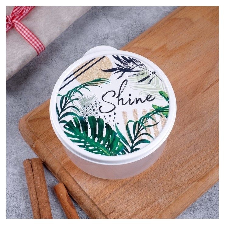 

Ланч-бокс «Shine», 500 мл, Белый