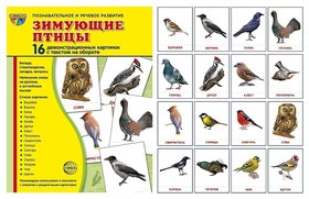 Набор демонстрационных картинок с текстом на обороте Птицы: перелетные, зимующие и домашние Издательство Сфера