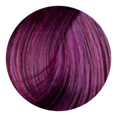 Тон Фиолетовый   L'oreal Professionnel