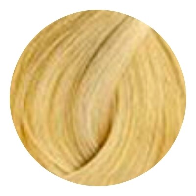 Тон 10 Очень-очень светлый блондин L'oreal Professionnel