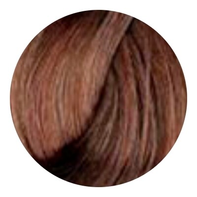 Тон 5.3 Светлый шатен золотистый  L'oreal Professionnel