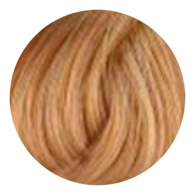 Тон 8.3 Светлый блондин золотистый  L'oreal Professionnel