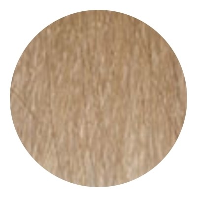 Тон 10N Платиновый блонд  Wild Color