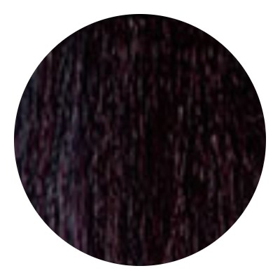 Тон 2.2 2V Очень темно-фиолетовый коричневый  Wild Color