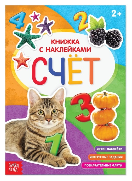

Книга с наклейками «Счёт», 12 стр.