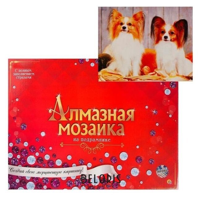 Алмазная мозаика 30х40 см, с подрамником, с полным заполнением «Два забавных щенка и тыквы» Рыжий кот (Red cat toys)