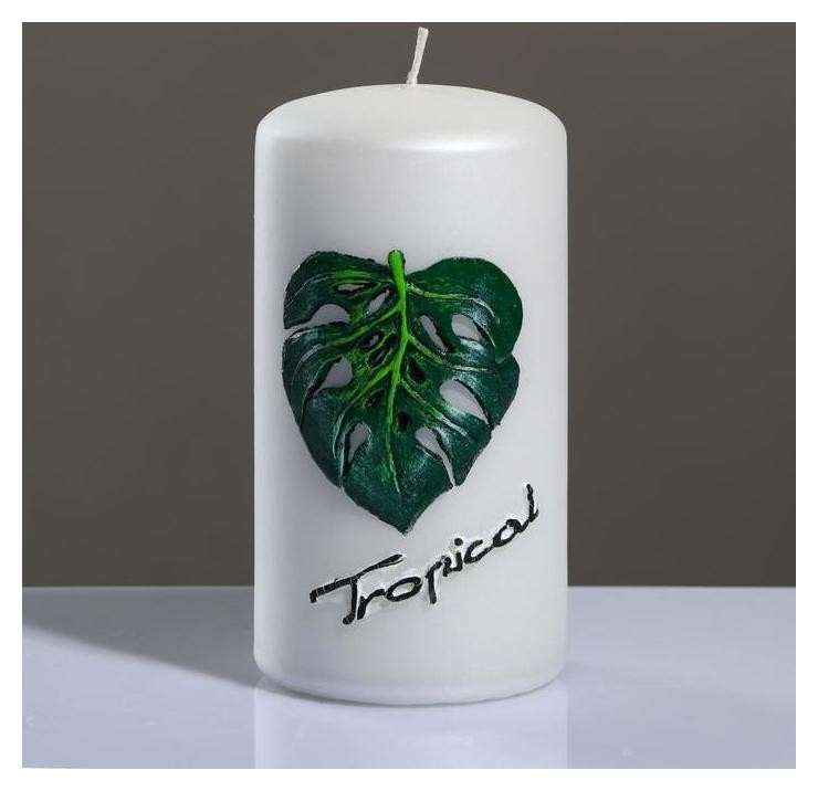 

Свеча - цилиндр "Tropical", 7×13 см