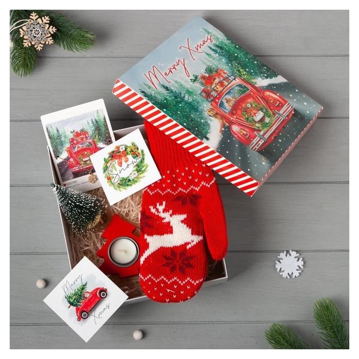 

Подарочный набор "Merry Xmas" варежки р-р 19 и акс (4 предм), Красный