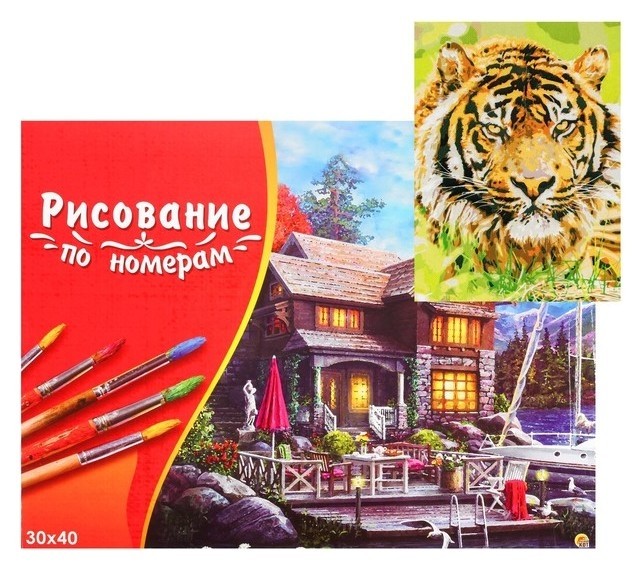 

Картина по номерам на холсте 30 × 40 см, «Тигр в траве»