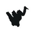 Тон 15  Lavelle