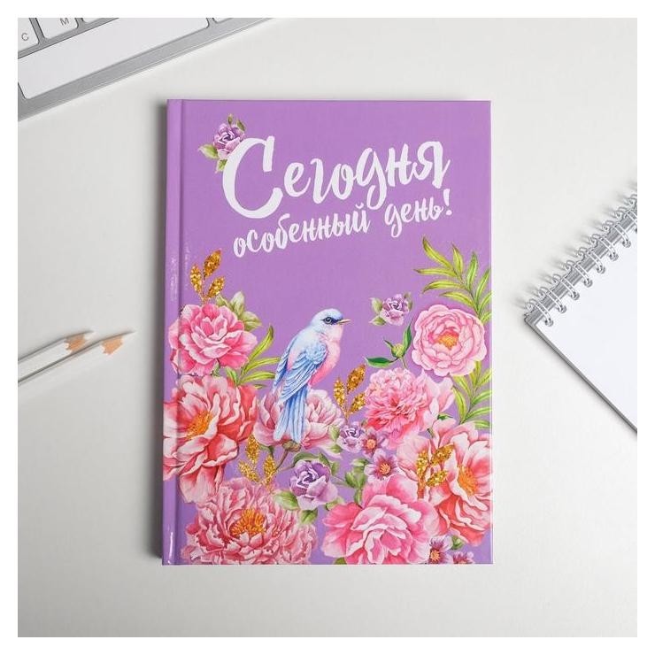 

Ежедневник "Сегодня особенный день", твёрдая обложка, А5, 80 листов, Разноцветный