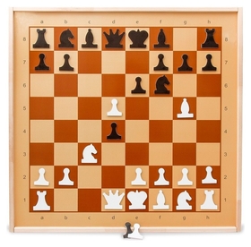 Настольная игра шахматы демонстрационные магнитные арт.01756 Десятое королевство