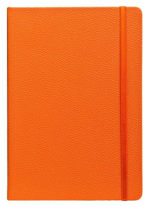 Записная книжка Infolio, Lifestyle,140x200мм, 192стр.az080/orange