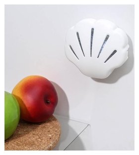 Поглотитель запаха для холодильника «Ракушка», 9,5×8,5×3 см 