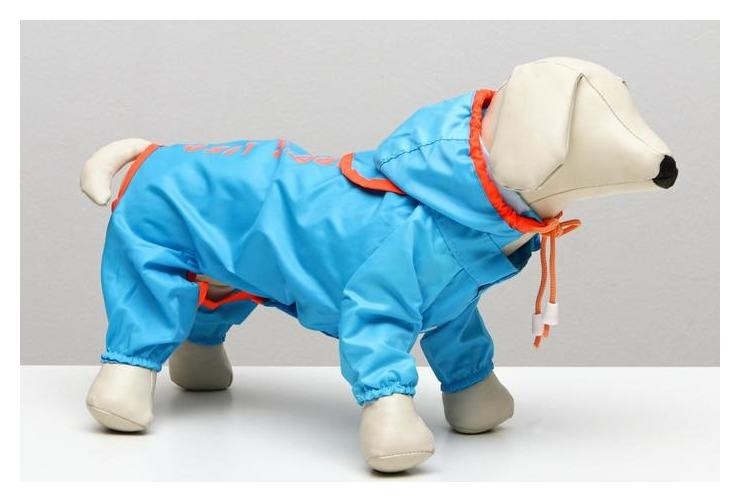 

Комбинезон демисезонный с отверстием для поводка, 16 (ДС 40, ОШ 40, ОГ 53 см), голубой