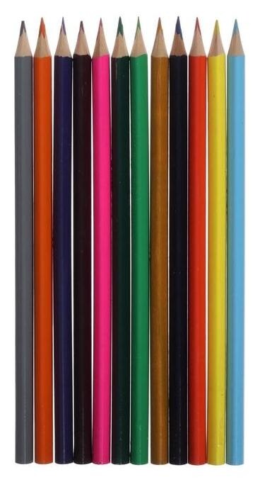 Карандаши Calligrata 12 цветов в пакете ОРР без лого, корпус дерево, треугольные  Calligrata