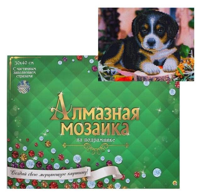 

Алмазная мозаика блестящая 30х40 см, с подрамником, с частичным заполнением, 12 цветов «Маленький забавный щенок»
