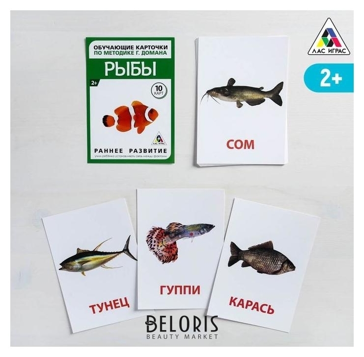 Обучающие карточки по методике Г. домана «Рыбы», 10 карт, А6 Лас Играс
