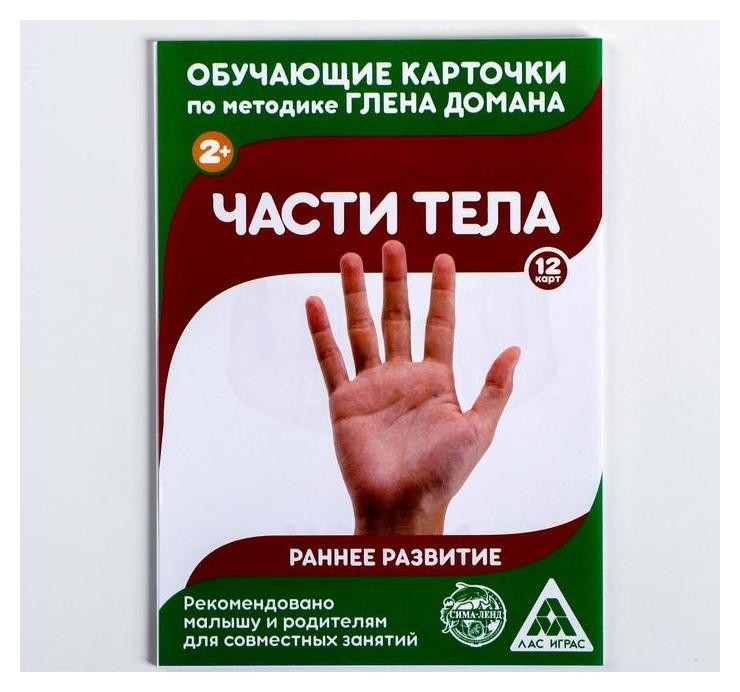 

Обучающие карточки по методике Г. домана «Части тела», 12 карт, А6