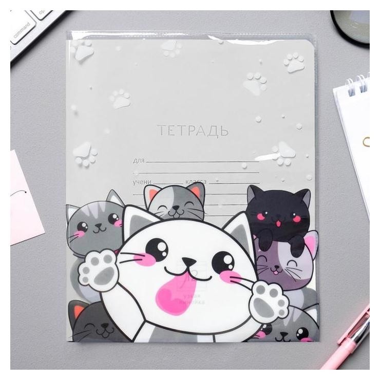 

Обложка для тетради «Коты»