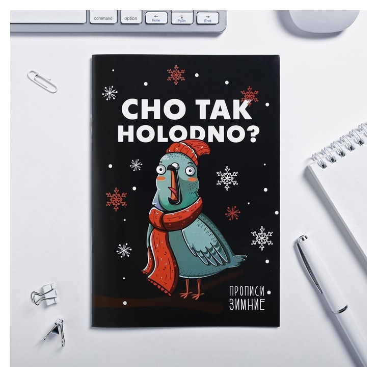

Прописи зимняя коллекция CHO TAK Holodno, 12 листов