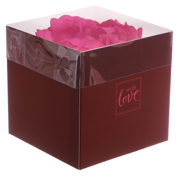 

Коробка для цветов с Pvc‒крышкой With Love, 12 × 12 × 12 см, Бордовый